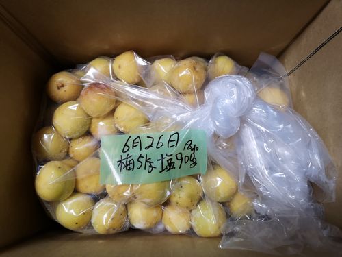 �ӥˡ����ޤ���ζ�����ȴ����