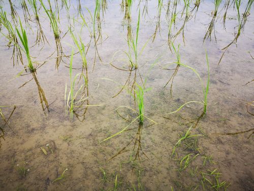 ���ʬ���ĤϤޤ���ǧ�Ǥ��ޤ���