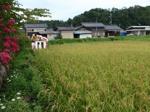 ��������ڡˤ˰𴢤�򤷤ޤ���