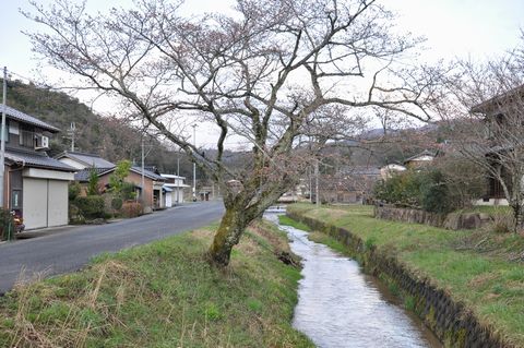 �����餭�Ϥ�ޤ���