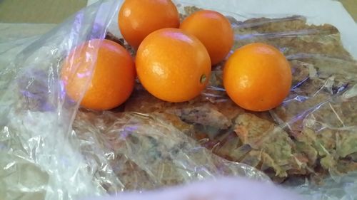 �Ĥ�������Τ���˿��٤ޤ���