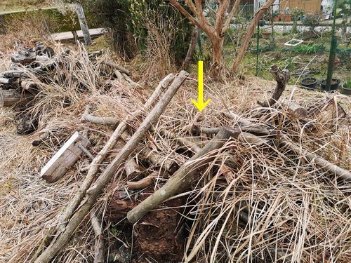 ���ˤϱ����餷�κ٤����䥭�οŤ�����ޤ�