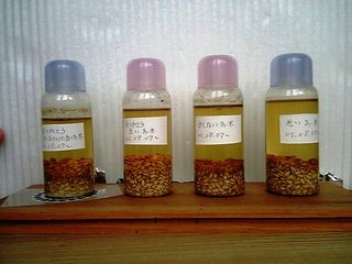 ��������ǯ�¸�