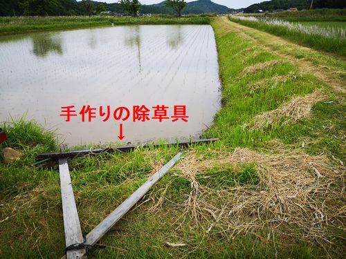 �����Ȥ򽪤��ޤ�������