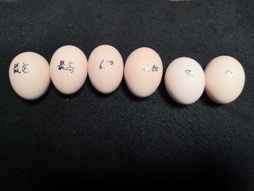 �Σ�����