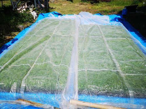 ����䤨��Τǥ��դ�٤��ݤ����ޤ���