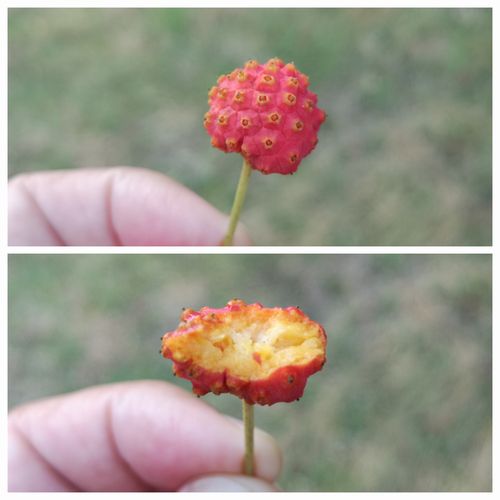���٤Ƥߤޤ���