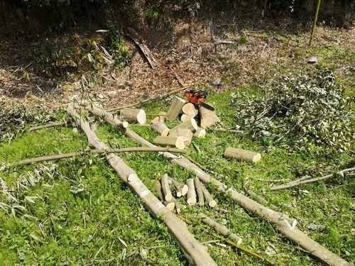 �ߤ��ڤζ��ڤ�˹Ԥ��ޤ���