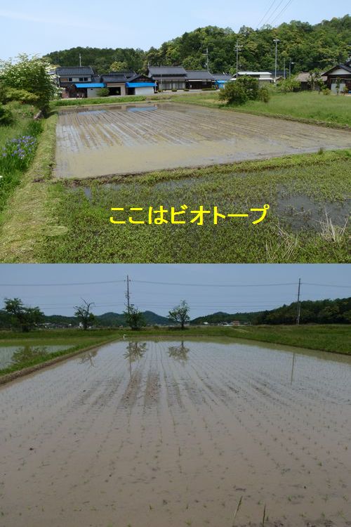 ŷ�����ɤ��Ŀ����Ͻ�Ĵ�˽����ޤ���