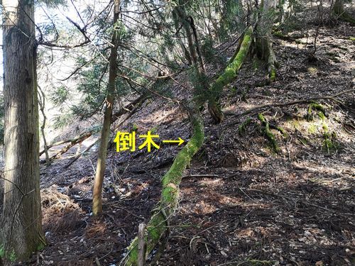 �礭�����ڤ����̤˲�����äƤ��ޤ�