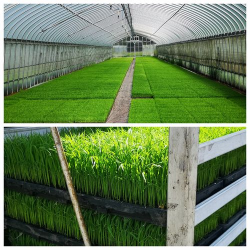 �Ĥ򥨥��������˰������˹Ԥ��ޤ���