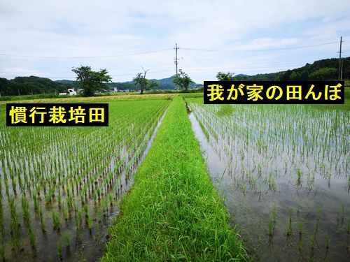 �٤δ��Ժ��ݤ��Ĥ�ܤ�