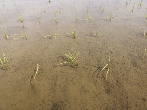 ����ʿ����������лϤ��ˤ��Ƥ���Ȼפ��ޤ�����������