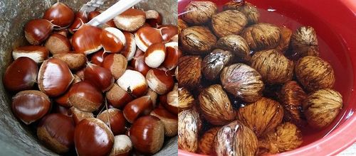 �Ҥ��Ҥ���˾������������Υ��󥵥�������