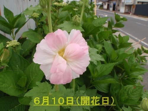 ��������������������ʤ������ʡˤ��餭�Ϥ�ޤ���