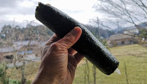 ���������ʤ��ܴݤ�����Ǥ�