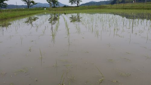 ����ʬ�ʾ夫����ޤ���
