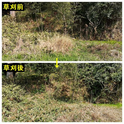 ������ڤβ����𴢤򤷤ޤ���