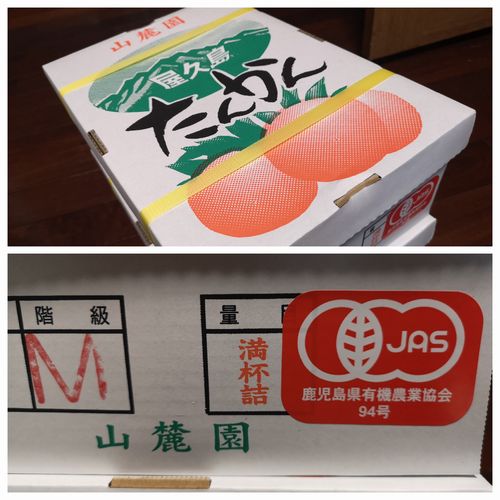 Æþ¼ê¤¹¤ë¤³¤È¤¬½ÐÍè¤Þ¤·¤¿