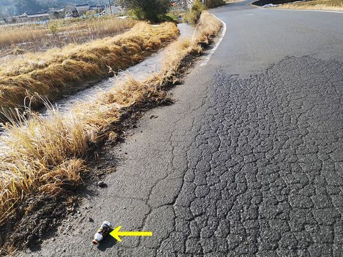 »ä¤Î½¸Íî¤ËÆþ¤ëƻϩ¤Ë