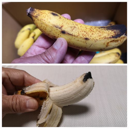 ��̣�������Ǥ�