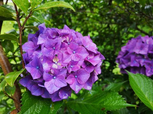 ���λ��۲֤�����Ǩ��� (1)