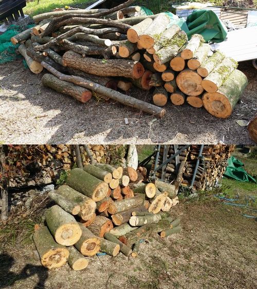 ����Ϸڥȥ飱��Ⱦ�ۤɻ�������ޤ���