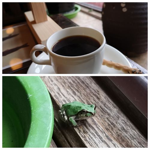 ���ޥ����뤬���뤳�Ȥ�ͭ̾�Ǥ�