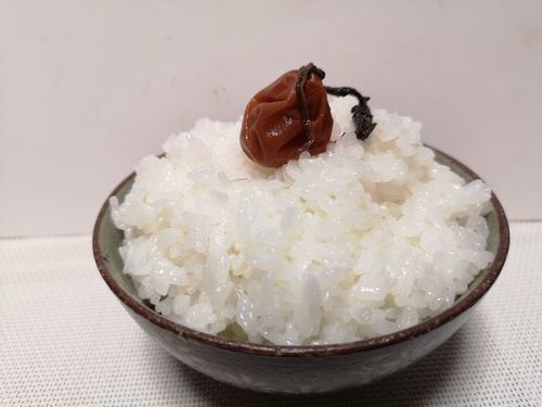 新米の白ご飯を食べました