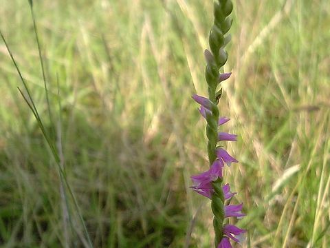 6��27���⥸���꤬�餭�Ϥ�ޤ���