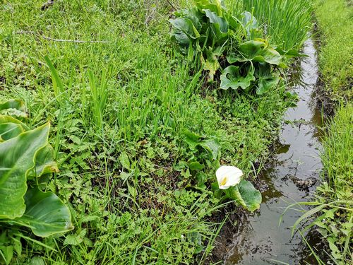 ���顼���餭�Ϥ�ޤ�����