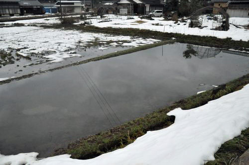 ���䤸���Ĥ�ܤΥӥ��ȡ��פǤ�