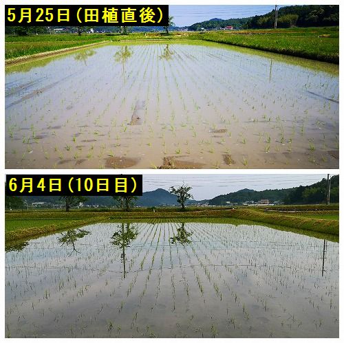 ÅÄ¿¢¸å¡¢£±£°ÆüÌÜ