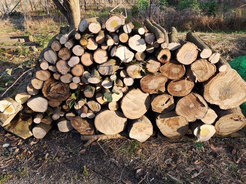 ��ϳ������Ǥ�