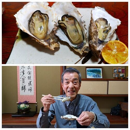 Ǯ����֤��������ޡ�������