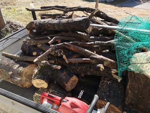 �ڥȥ飲���ۤɤ��̤Ǥ�