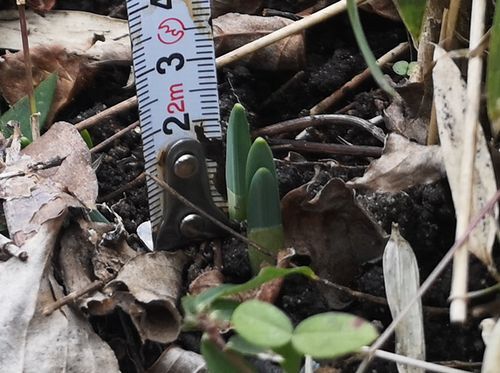 Äí¤Î¥¹¥¤¥»¥ó¤Î²ê¤Ï¤Þ