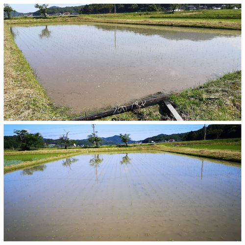 £±²óÌܤνüÁðºî¶È¤Ï´°Î»¤·¤Þ¤·¤¿