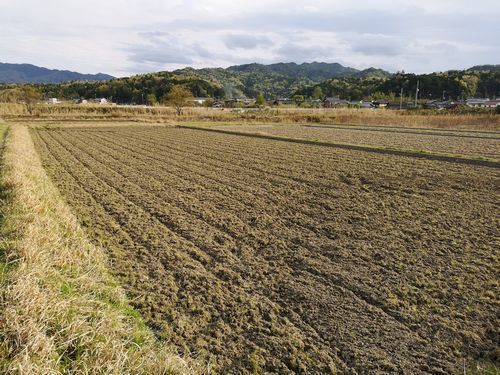 ���Ѻ�Ȥ������ޤ���