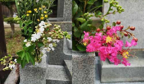 ����Υ��륹�٥�β֤�ź���ޤ���