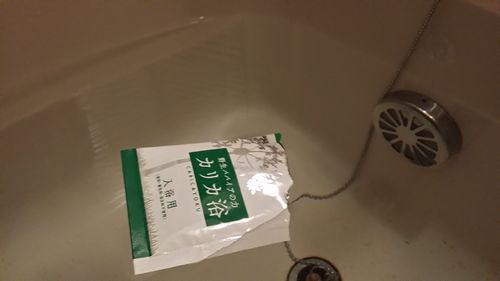 ������Ǯ�ܥ��ꥫ��Ϥ