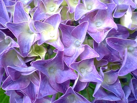 ?���۲֤�����