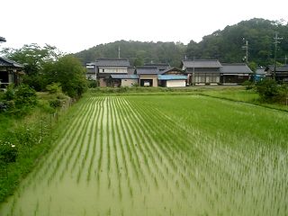 �Ŀ����������Τ��䤸���Ĥ��