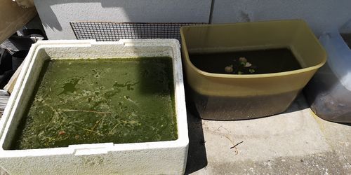 °Û¾ï¤ËÁô¤¬È¯À¸¤·¤¿¤¿¤á