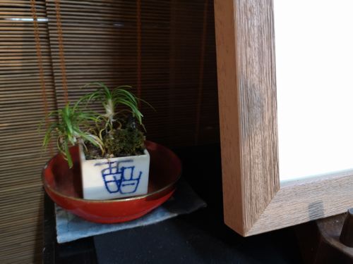 �ޤ����Ϻ���֤Ǥ� (4)