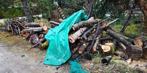 ������襷�������ѤǤ�