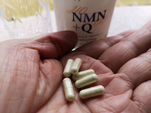 �Ƕ��ī�����ץ������Ǥ��ޤ�