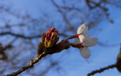 �餤�Ƥ��ޤ���