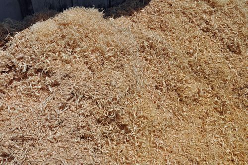 ¹©Ë¼¤Î³°¤Ë¤¦¤º¹â¤¯À¹¤é¤ì¤¿¥«¥ó¥Ê¤¯¤º¤Ç¤¹