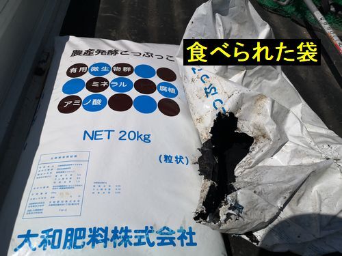 �֤��Ĥ֤ä��פ�ȯ�������Τ���ưʪ�����٤ޤ���������